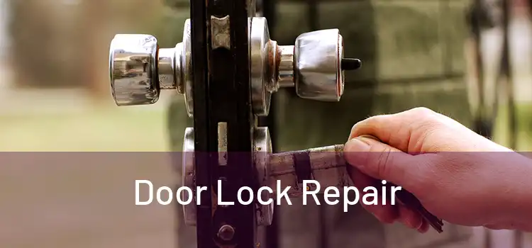 Door Lock Repair