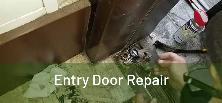 Entry Door Repair